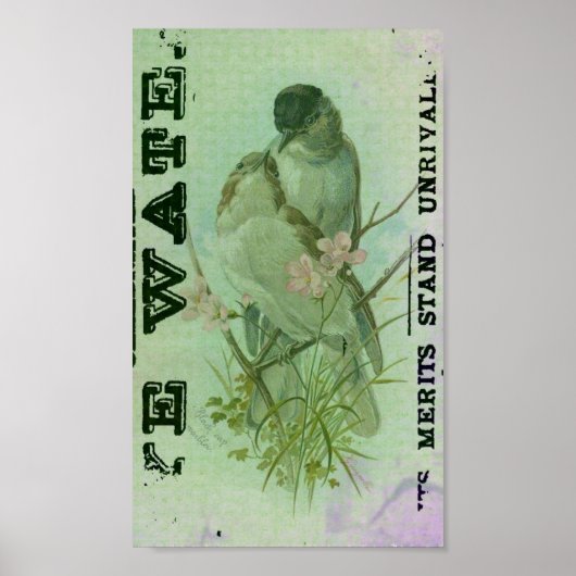 Poster Paruline Vintage (Devant)