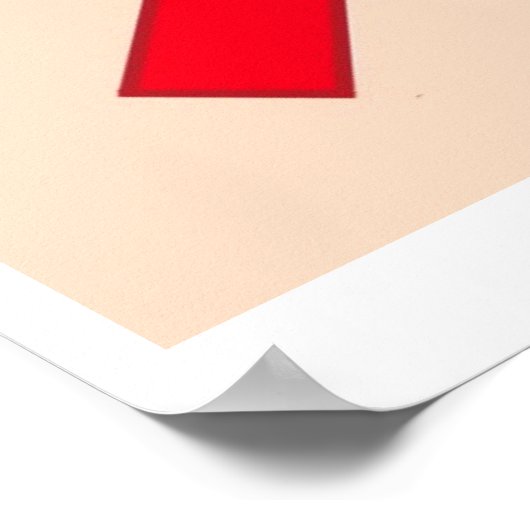 Poster Pas d'affiche de pêche dans les toilettes (Coin)