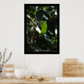 Poster Pas d'affiche de remise (Cuisine)