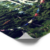 Poster Pas De Bras Autorisés Dans La Forêt (Coin)