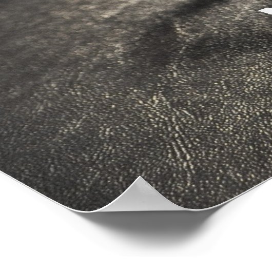 POSTER PAS DE CAFÉ PAS D'AFFICHAGE X RAY (Coin)