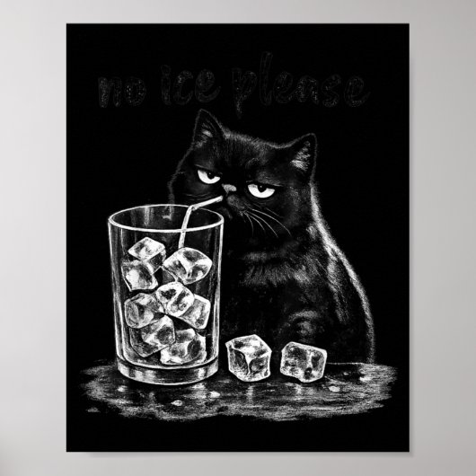 Poster Pas de glace s'il vous plaît drôle mème de chat vi (Devant)