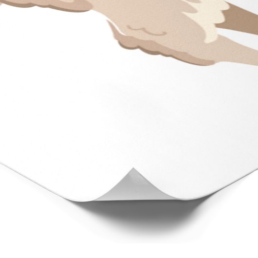 Poster Pas de lama à sonde (Coin)