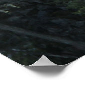 Poster Pas De Limites Sauts De Bungee (Coin)