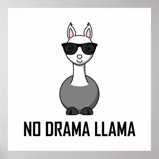 Poster Pas de lunettes de soleil Drama Llama (Devant)