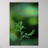 Poster Pas de petits plans (Devant)