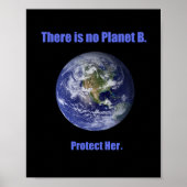 Poster Pas de planète B (Devant)