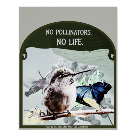 Poster Pas de pollinisateurs, pas de vie (Devant)