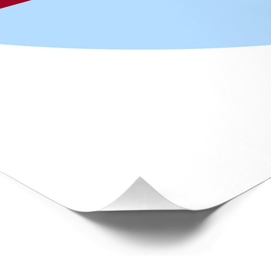 Poster Pas de Trump (bleu et rouge) (Coin)