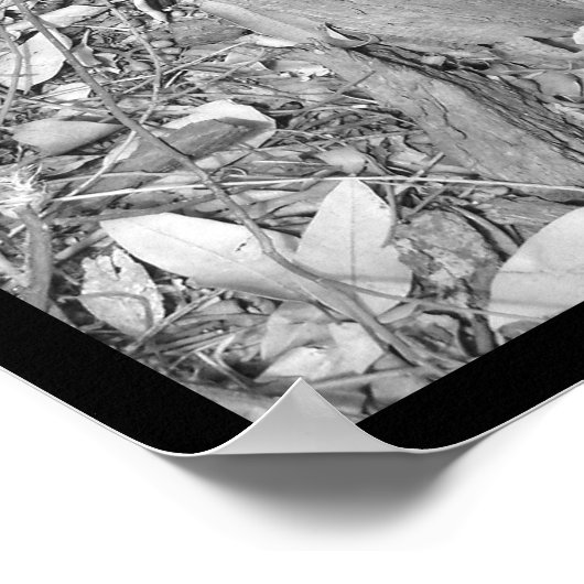 Poster pas de virage à droite (Coin)