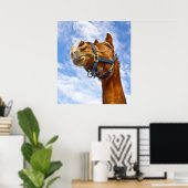 Poster pas de vol aujourd'hui (Bureau à domicile)