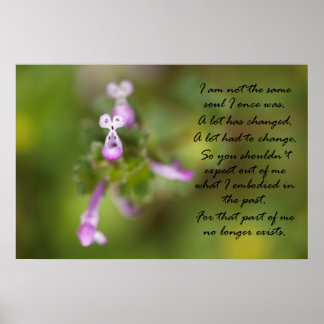 Poster Pas la même âme