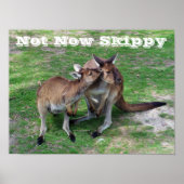 Poster Pas maintenant Skippy (Devant)