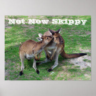 Poster Pas maintenant Skippy