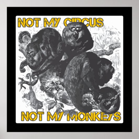 Poster Pas mon cirque, pas mes singes (Devant)