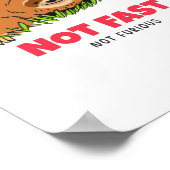 Poster Pas rapide pas furieux (Coin)