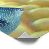 Poster Pas Seulement Des Poissons Tropicaux Vivent Sur De (Coin)