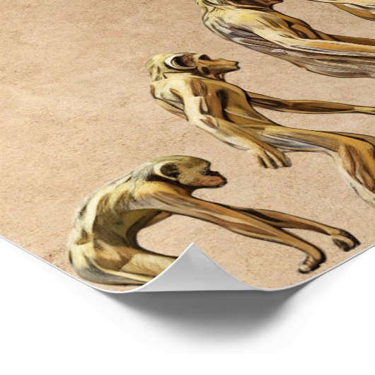 Poster Pas si subtil anti-Trump (Coin)