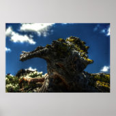 Poster Pas une chèvre (Devant)