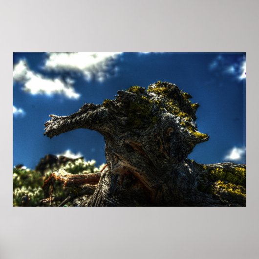 Poster Pas une chèvre (Devant)