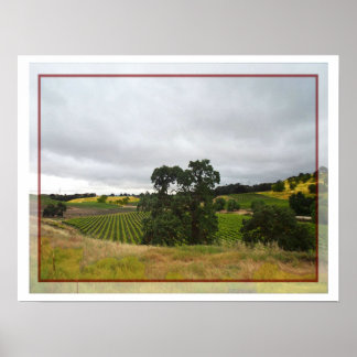 Poster Paso Robles Wine Land