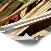 Poster passage (Coin)