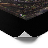 Poster Passage (Coin)