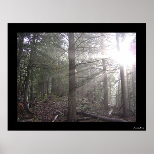 Poster Passage (Devant)