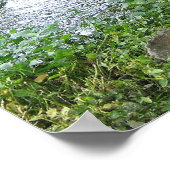 Poster Passage (Coin)