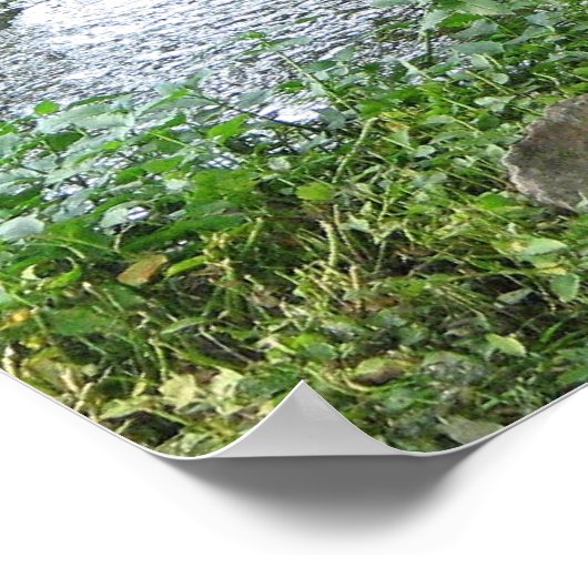 Poster Passage (Coin)