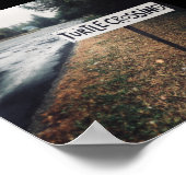 Poster passage des tortues (Coin)