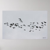 Poster Passage par 1 (Devant)