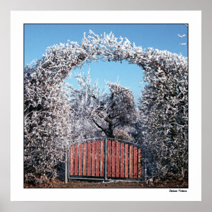 Poster Passage vers le pays des merveilles d'hiver