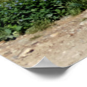 Poster Passe Ophir, Colorado (Coin)