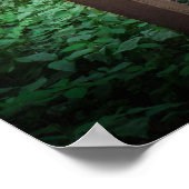 Poster Passerelle (Coin)