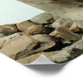 Poster Passerelle avec Sphinx sculpté (Coin)