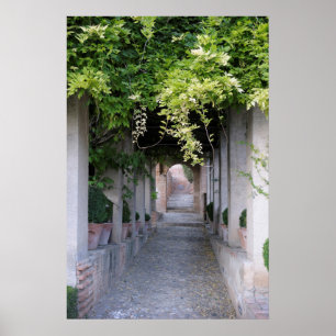 Poster Passerelle couverte de feuillage, Espagne