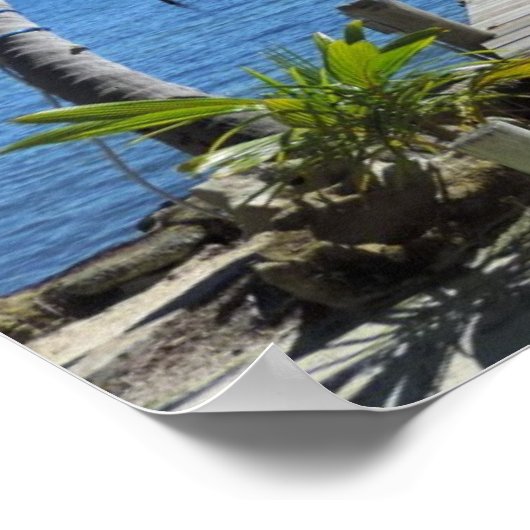 Poster Passerelle de plongée de l'île (Coin)