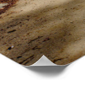 Poster Passerelle en bois Pont verdoyant (Coin)