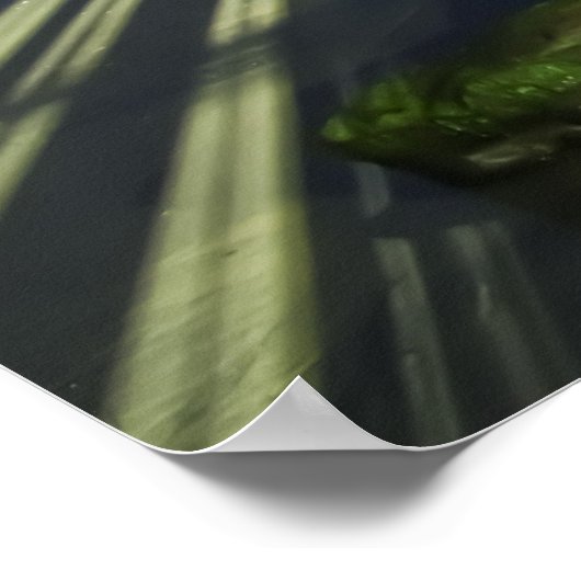 Poster Passerelle OB (Coin)