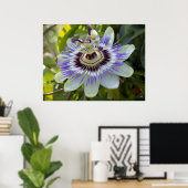 Poster Passiflora edulis forma flavicarpa (Bureau à domicile)