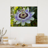 Poster Passiflora edulis forma flavicarpa (Cuisine)