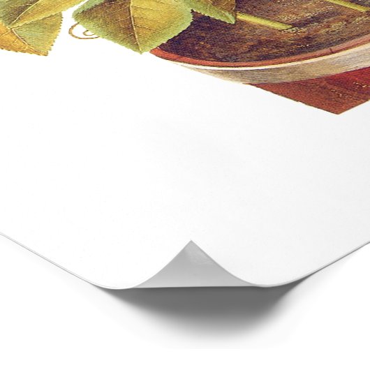 Poster Passiflora incarnata (Coin)