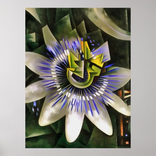 Poster Passiflora Passion Fleur De Style Art Géométrique (Devant)