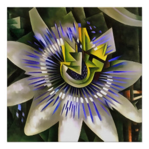 Poster Passiflora Passion Fleur De Style Art Géométrique