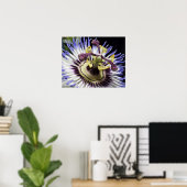 Poster Passiflore en gros plan (MR) (Bureau à domicile)