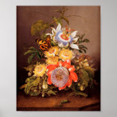 Poster Passiflores | Ferdinand Bauer (Devant)