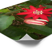 Poster Passion rouge (Coin)