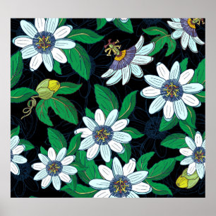 Poster Passionflower Arrière - plan noir Floral sans join