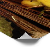 Poster Passionfruit à vendre (Coin)